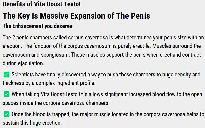 Vita-Boost-testo