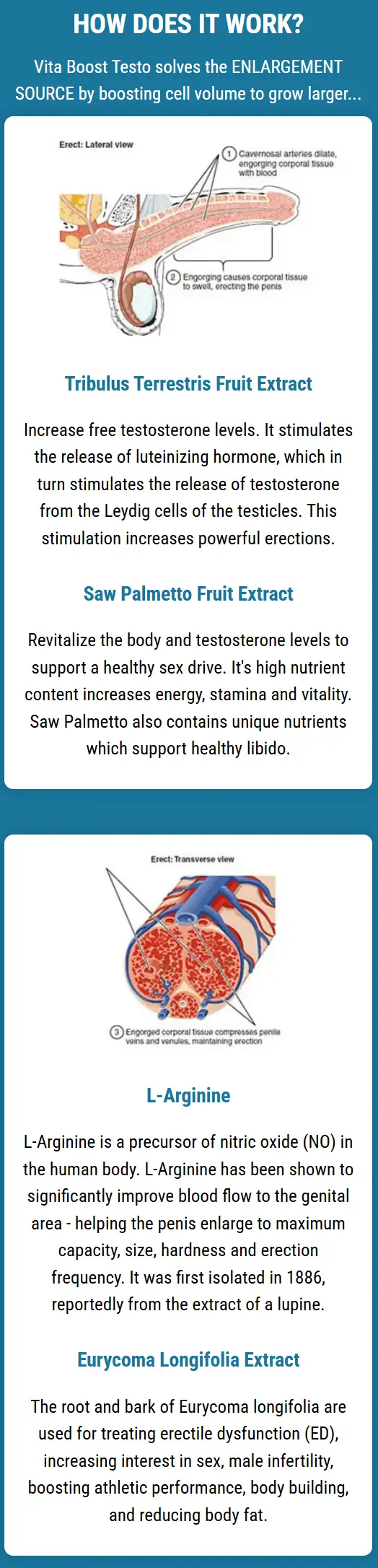 Vita-Boost-testo